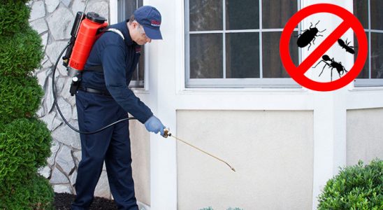 Korgun Böcek İlaçlama böcek ilaçlama ve haşere kontrolü — ilaclama-tr.com